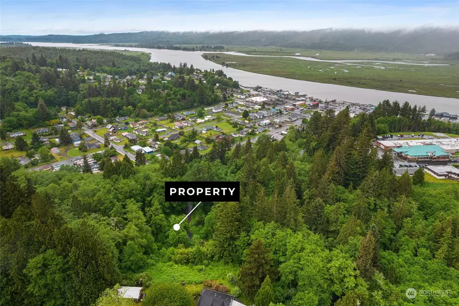 0 X Rixon RD, South Bend, WA 98586