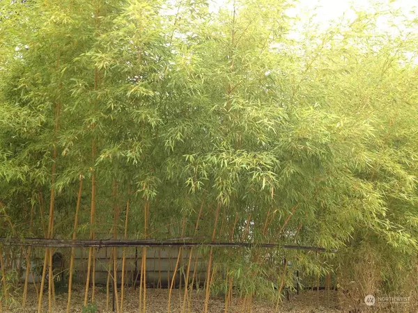 7701 32nd AVE NE, Seattle, WA 98115