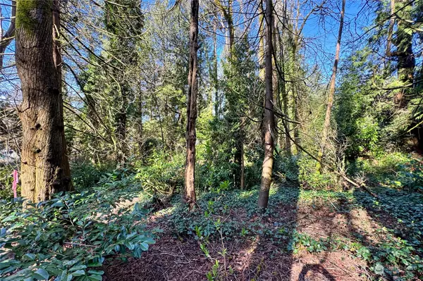 Bainbridge Island, WA 98110,0 xxx (Lot C) Lovell AVE SW