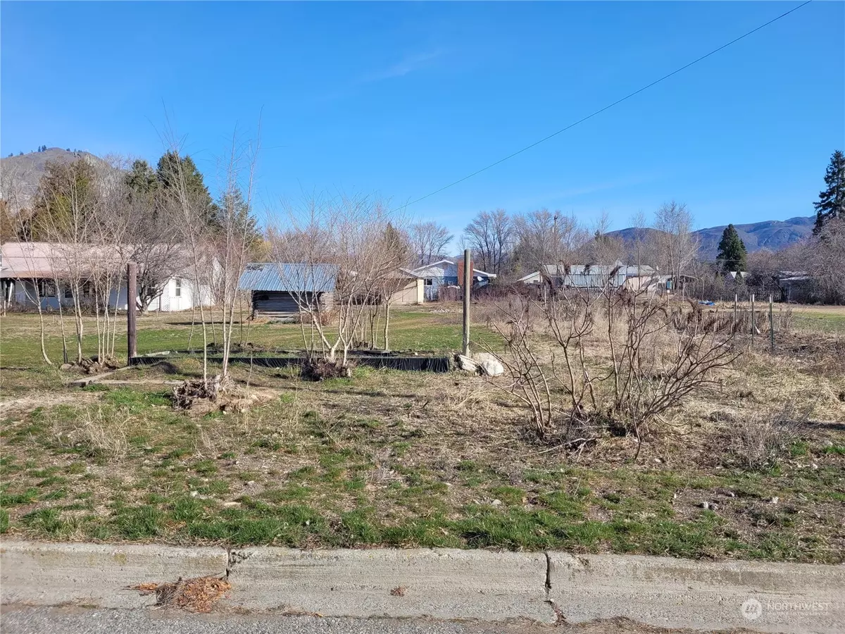Tonasket, WA 98855,228 W Jonathan AVE