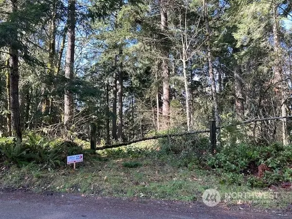 Tenino, WA 98589,13649 Chein Hill LN SE