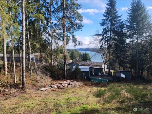 61 E Lookout CT, Grapeview, WA 98564