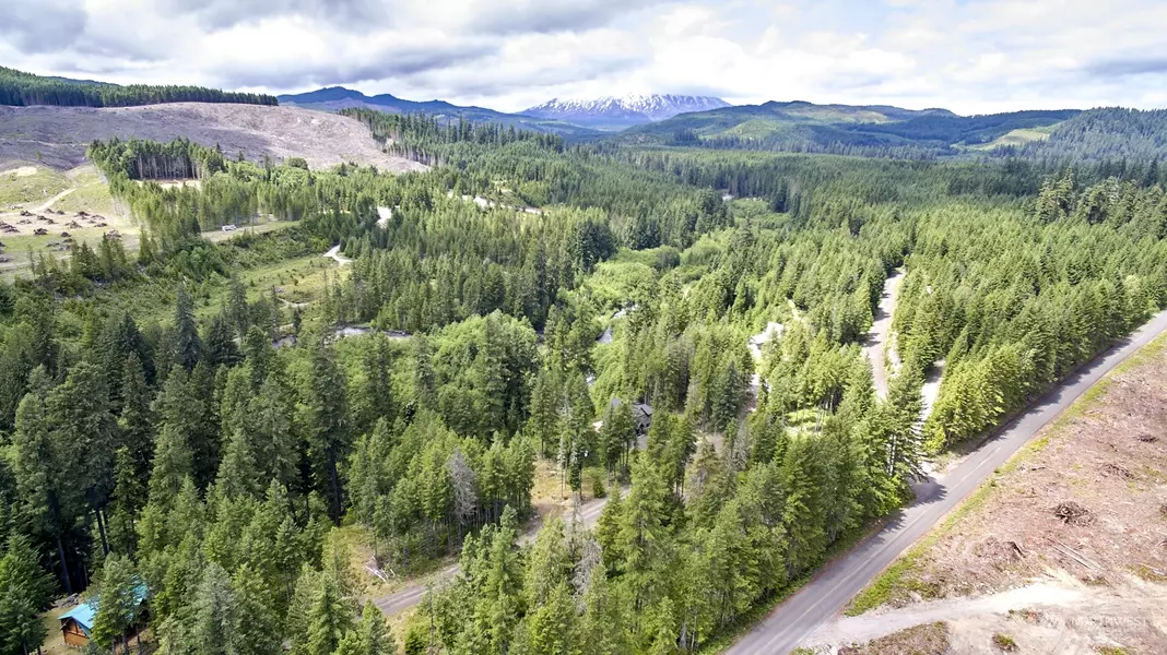 1 Lodgepole LN, Cougar, WA 98616