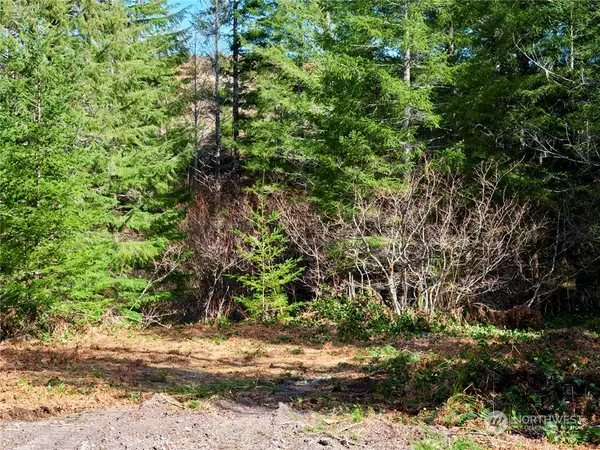 Cougar, WA 98616,8 Lahar LN