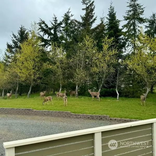 Sequim, WA 98382,102 Deer Trails WAY