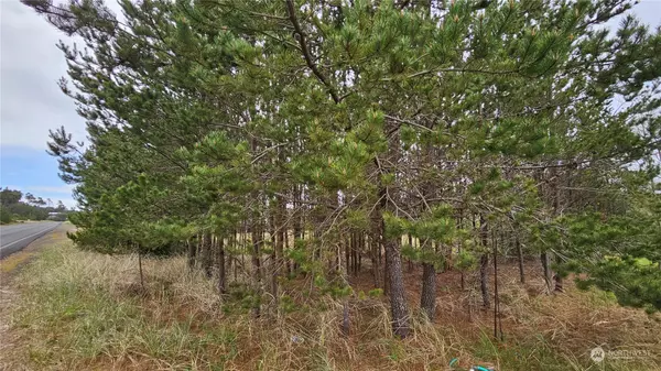 30301 I ST, Ocean Park, WA 98640