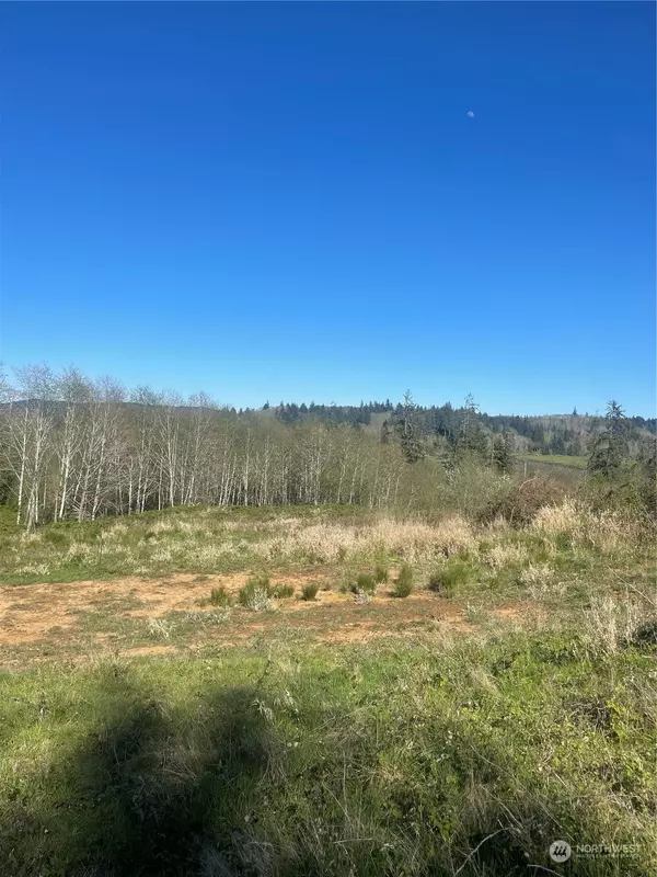 Raymond, WA 98577,0 X Fowler ST