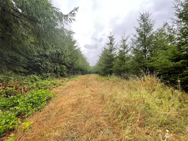 Centralia, WA 98531,34 xx Graf RD