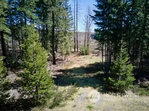 Cougar, WA 98616,2 Lodgepole LN