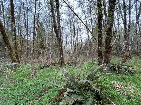 Longview, WA 98632,0 Lot 3 Abernathy Creek RD