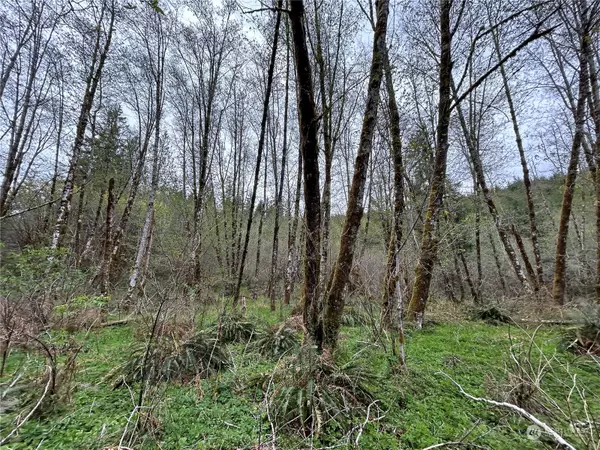 0 Lot 3 Abernathy Creek RD, Longview, WA 98632