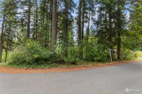 Yelm, WA 98597,17904 Rising CT SE