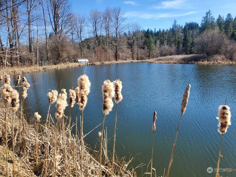 0 Lot 44 Three Lakes Rd RD, Cle Elum, WA 98922