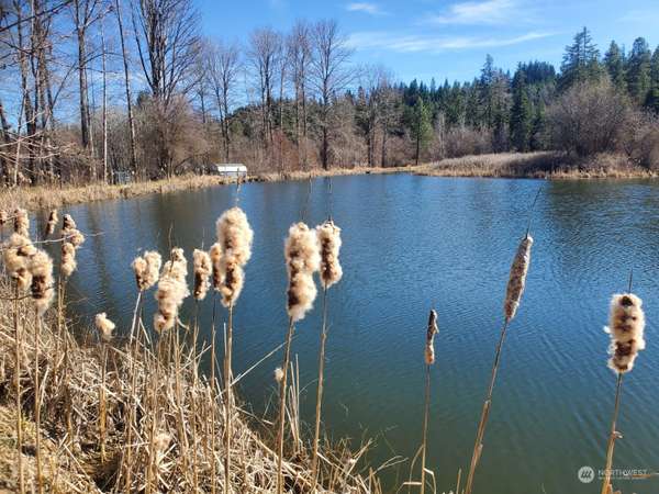0 Lot 44 Three Lakes Rd RD, Cle Elum, WA 98922