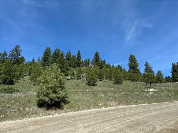 Tonasket, WA 98855,0 Cape Labelle RD