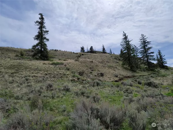 Orondo, WA 98843,98 Tyee View Loop RD