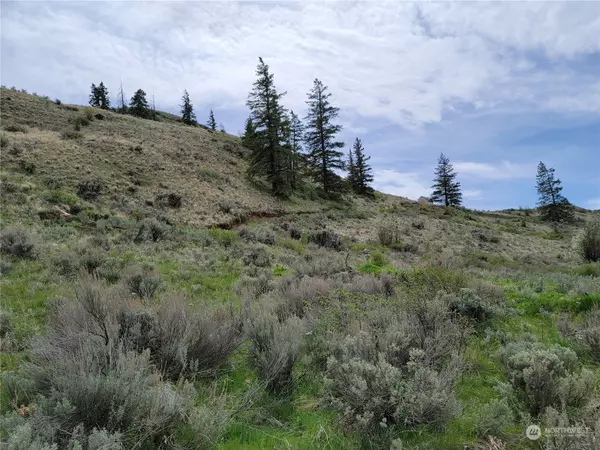 Orondo, WA 98843,98 Tyee View Loop RD