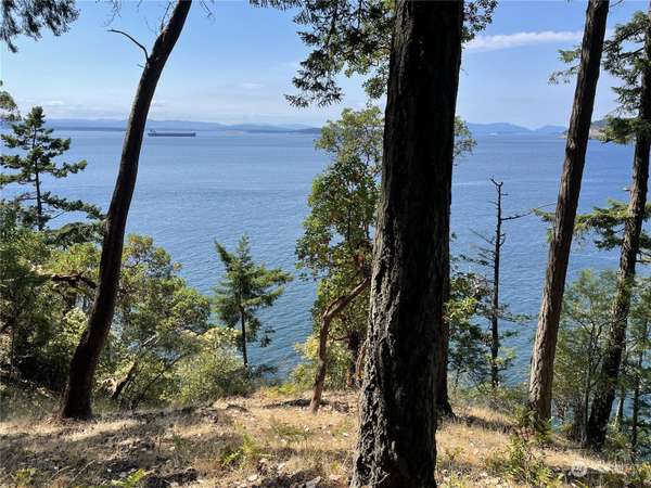 0 Fern Place, Friday Harbor, WA 98250