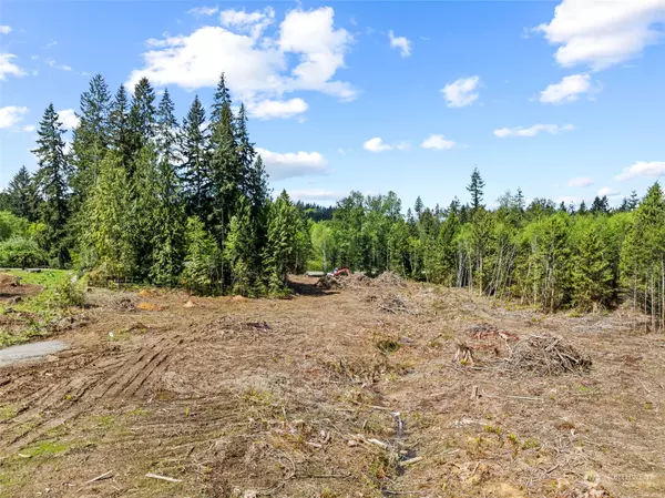 Castle Rock, WA 98611,0 Spirit Lake HWY #Lot 2