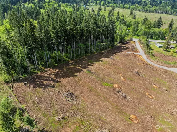 Castle Rock, WA 98611,0 Spirit Lake HWY #Lot 4