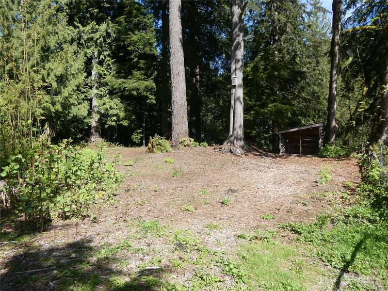 52812 S Riverside RD, Gold Bar, WA 98251