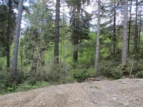 Belfair, WA 98528,0 E Coon Lake