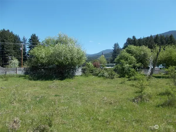 Packwood, WA 98361,0 Lot 3 Tumac ST W