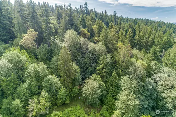 Bainbridge Island, WA 98110,1 Lot C Springridge RD NE