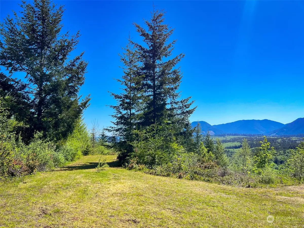Quilcene, WA 98376,445 Elkhorn Ridge RD