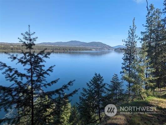 0 XX W Long Lake RD, Ford, WA 99013