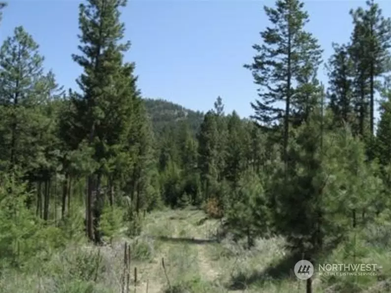 Riverside, WA 98849,597 J H Green RD