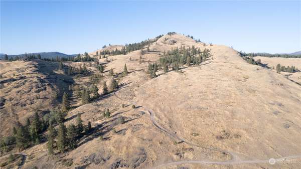 1 tbd Frosty Creek, Tonasket, WA 98855