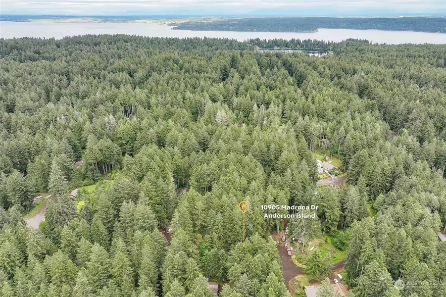 10905 Madrona DR, Anderson Island, WA 98303