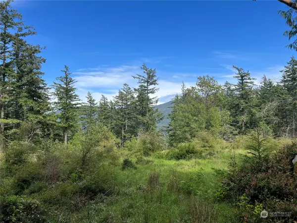 Orcas Island, WA 98245,249 Osprey LN