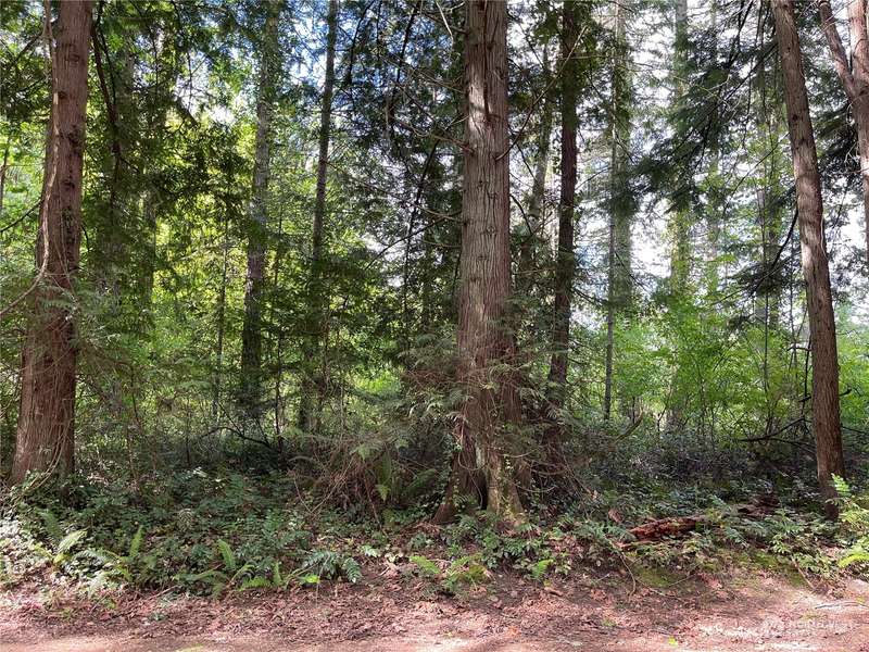 0 Lot 8 NE Sanwick PL, Bainbridge Island, WA 98110