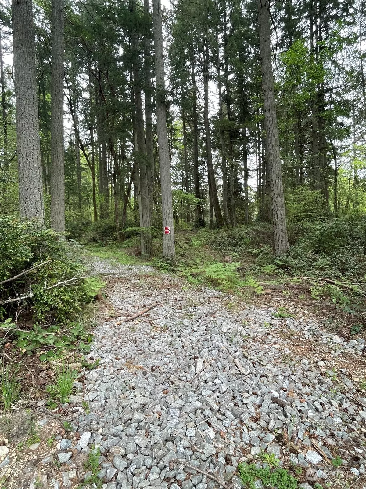 Vashon, WA 98070,11476 SW 220th ST