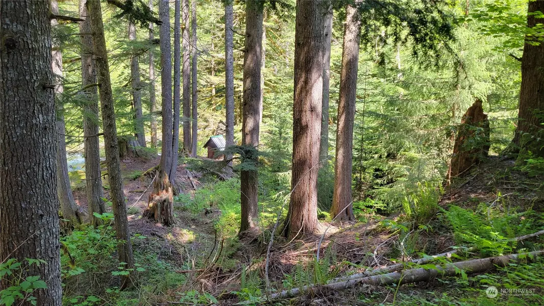 87003 NE 122nd, Skykomish, WA 98288