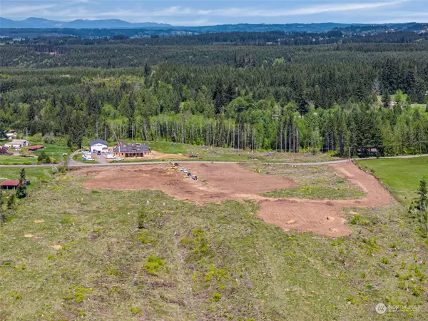 Adna, WA 98522,0 Lot 1 Brown RD