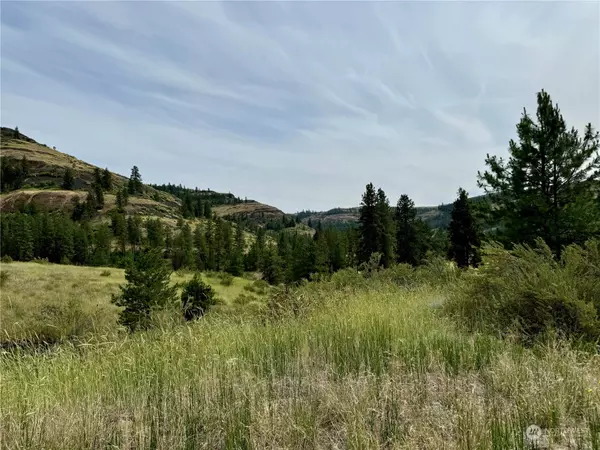 Creston, WA 99117,0 Tri Canyon Ranch Tract 51