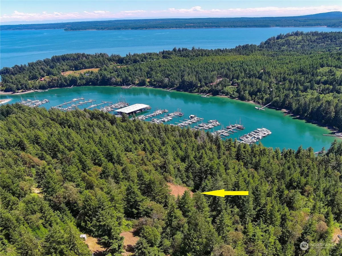 Brinnon, WA 98320,646 Madrona Ridge DR