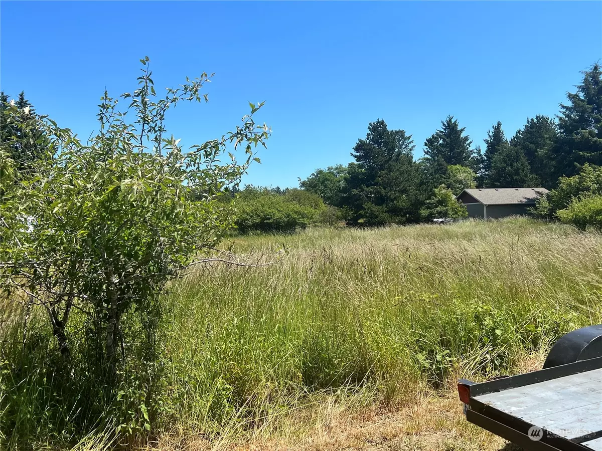 Ocean Park, WA 88640,246 Lot 91 Ash