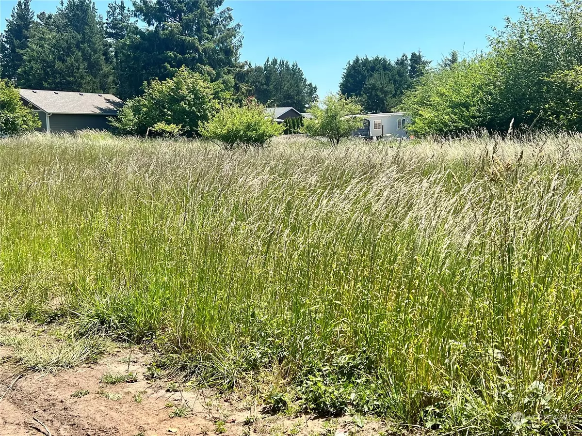 Ocean Park, WA 88640,246 lot 92 Ash