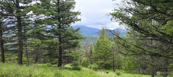 Republic, WA 99166,0 Lot 2 Old Kettle Falls RD