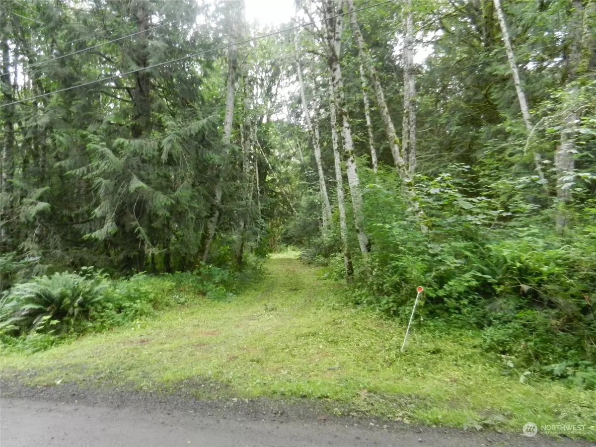 Quilcene, WA 98376,293 Zion View LN