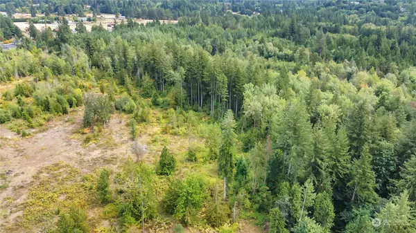 Rochester, WA 98579,6319 133rd AVE SW