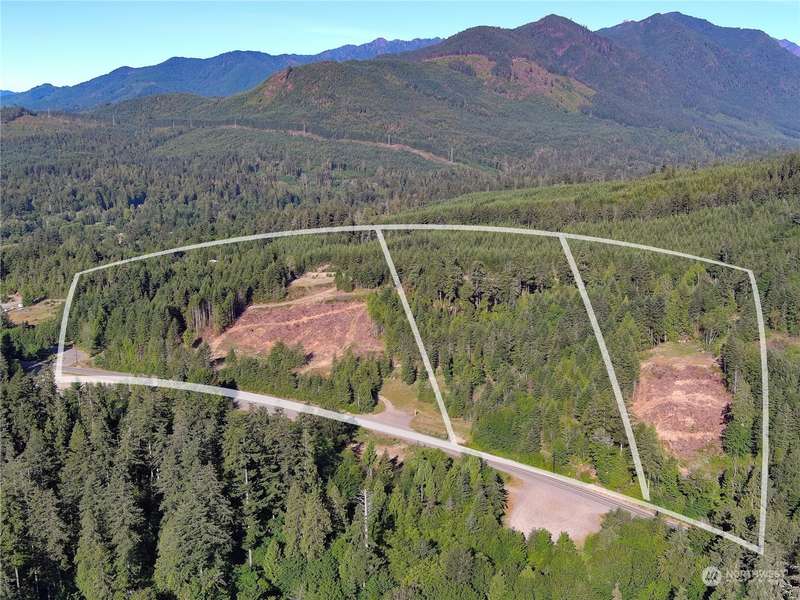 2 XXXX Mt Jupiter RD, Brinnon, WA 98376