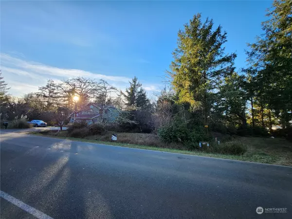 343 Duck Lake DR SE, Ocean Shores, WA 98569