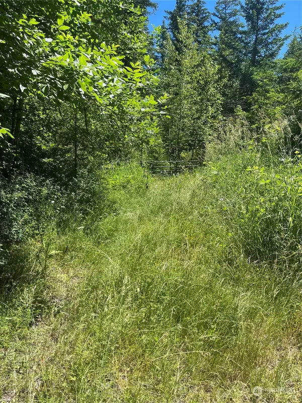 Eatonville, WA 98328,0 XXX Lot 1, Roedomsky RD E