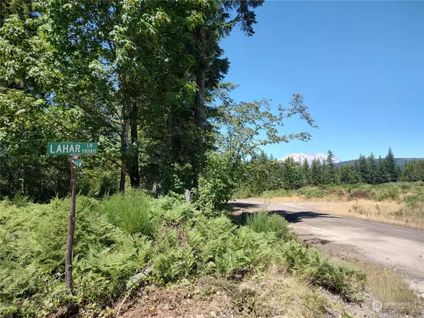 Cougar, WA 98616,6 Lahar LN #6