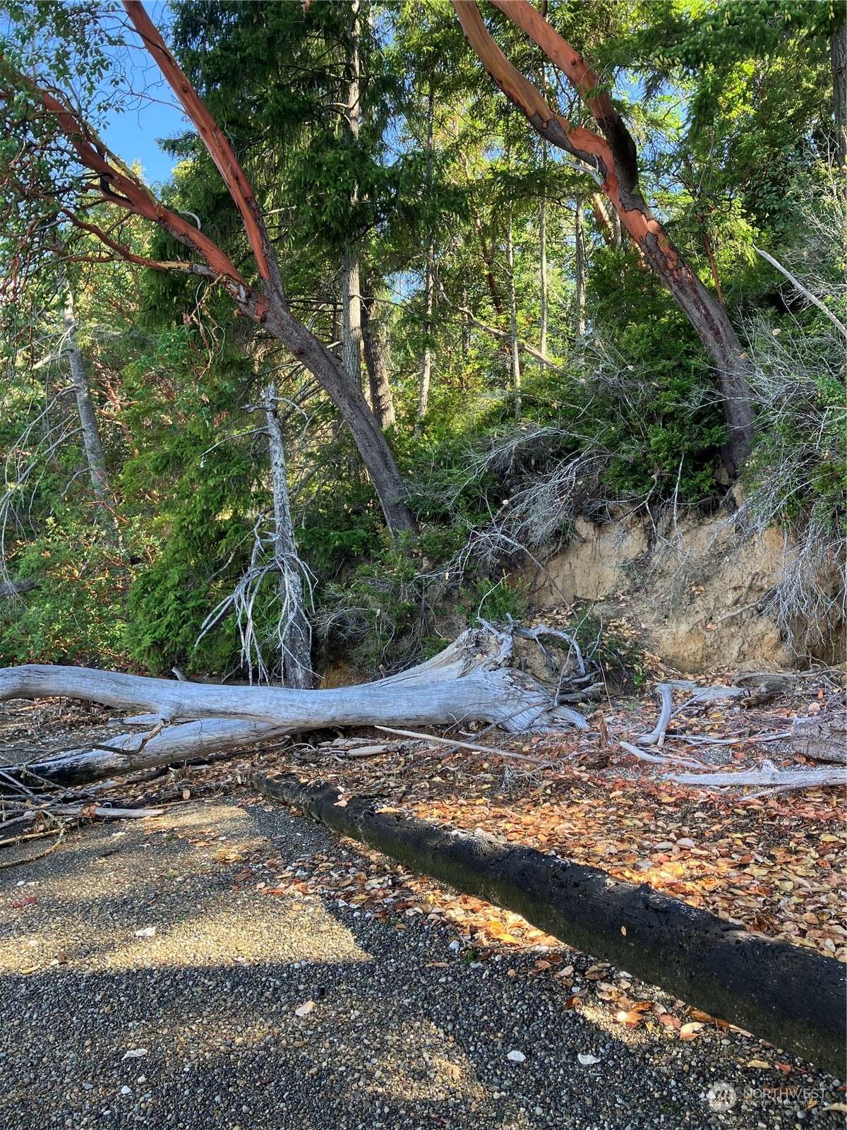 Shelton, WA 98584,6 E Swindlers Cove RD E